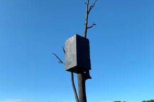 [Giuseppe Penone][0], _Vene di pietra tra i rami_ (2015). Yorkshire Sculpture Park, United Kingdom. Photo: Georges Armaos.

[0]: https://ocula.com/artists/giuseppe-penone/
